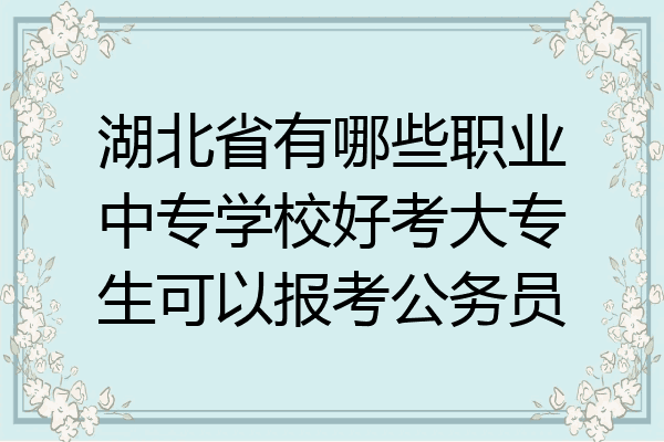 湖北省有哪些职业中专学校好考大专生可以报考公务员
