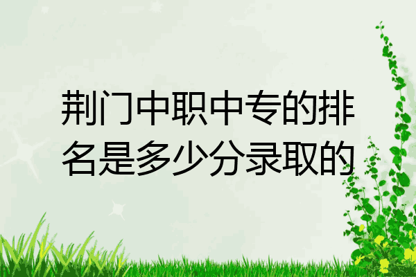 荆门中职中专的排名是多少分录取的