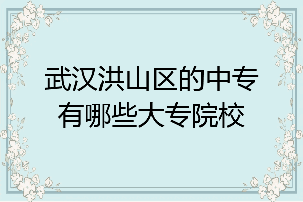 武汉洪山区的中专有哪些大专院校