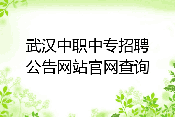 武汉中职中专招聘公告网站官网查询