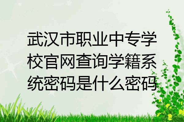 武汉市职业中专学校官网查询学籍系统密码是什么密码