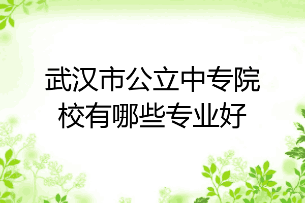 武汉市公立中专院校有哪些专业好
