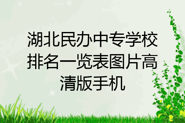 湖北民办中专学校排名一览表图片高清版手机