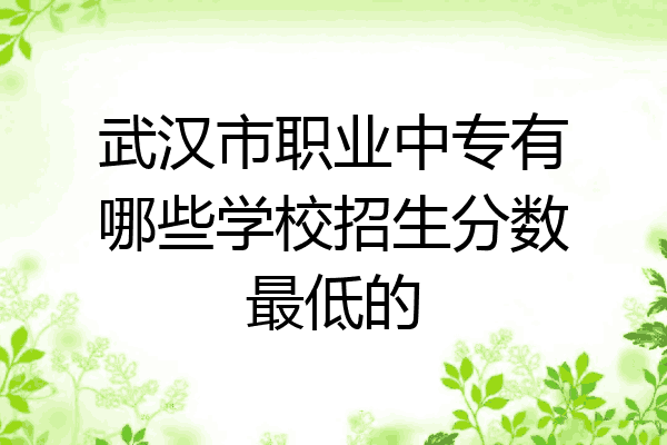 武汉市职业中专有哪些学校招生分数最低的