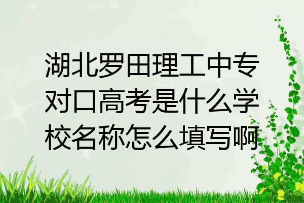 湖北罗田理工中专对口高考是什么学校名称怎么填写啊