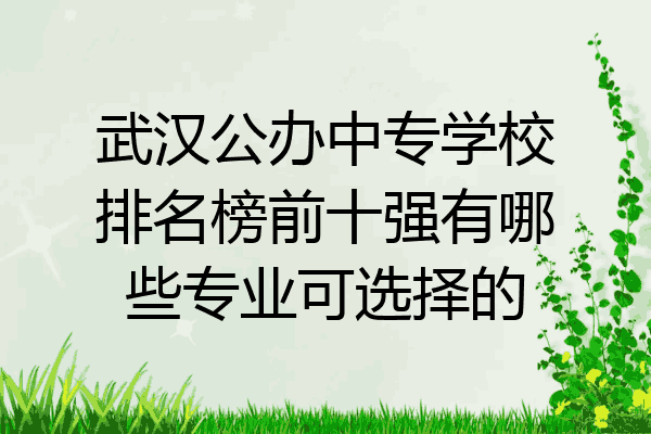 武汉公办中专学校排名榜前十强有哪些专业可选择的