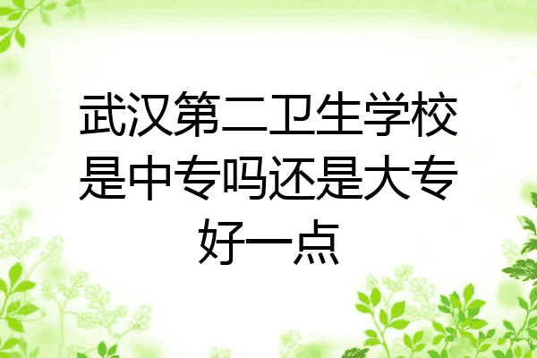 武汉第二卫生学校是中专吗还是大专好一点