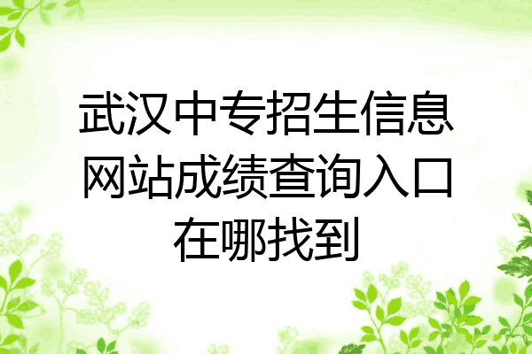 武汉中专招生信息网站成绩查询入口在哪找到