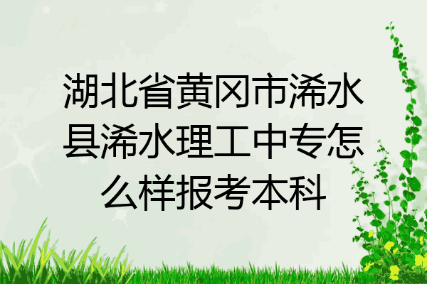 湖北省黄冈市浠水县浠水理工中专怎么样报考本科