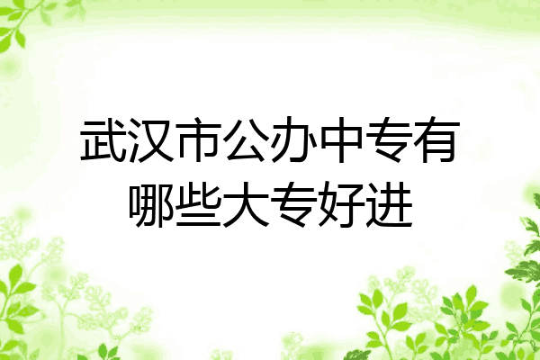 武汉市公办中专有哪些大专好进