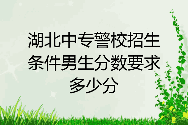 湖北中专警校招生条件男生分数要求多少分