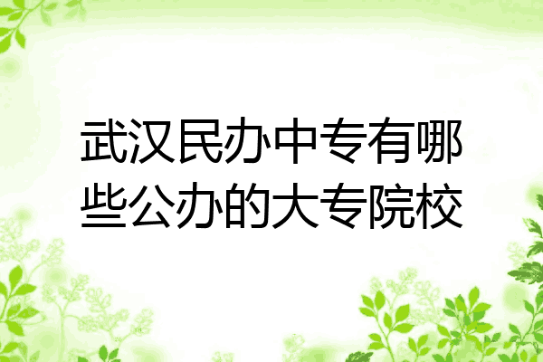 武汉民办中专有哪些公办的大专院校