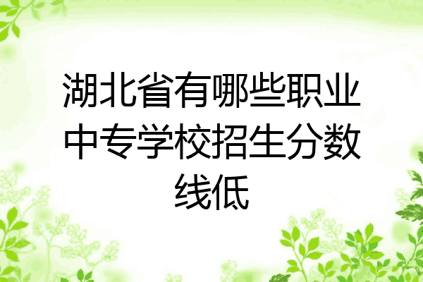 湖北省有哪些职业中专学校招生分数线低