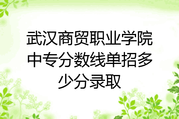 武汉商贸职业学院中专分数线单招多少分录取