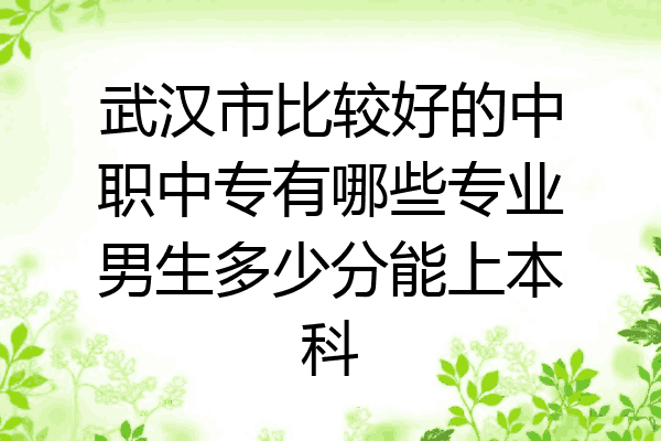 武汉市比较好的中职中专有哪些专业男生多少分能上本科