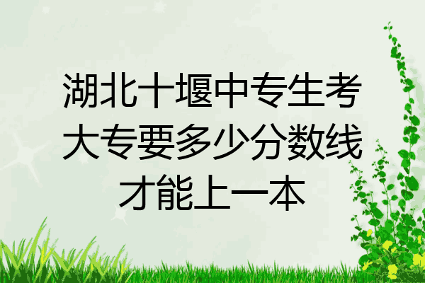 湖北十堰中专生考大专要多少分数线才能上一本