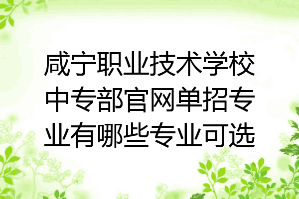 咸宁职业技术学校中专部官网单招专业有哪些专业可选