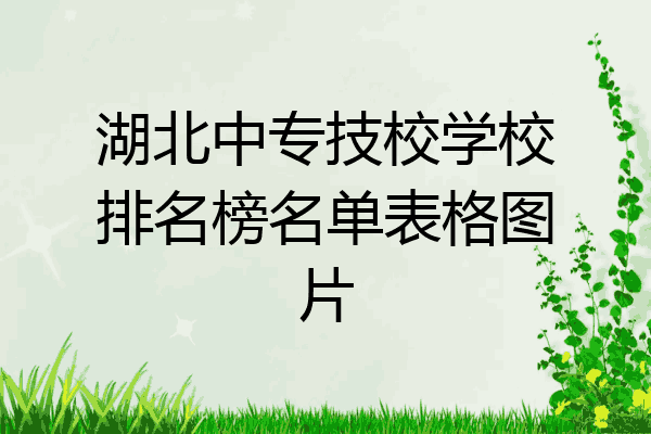 湖北中专技校学校排名榜名单表格图片