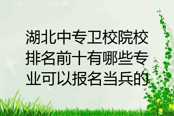 湖北中专卫校院校排名前十有哪些专业可以报名当兵的