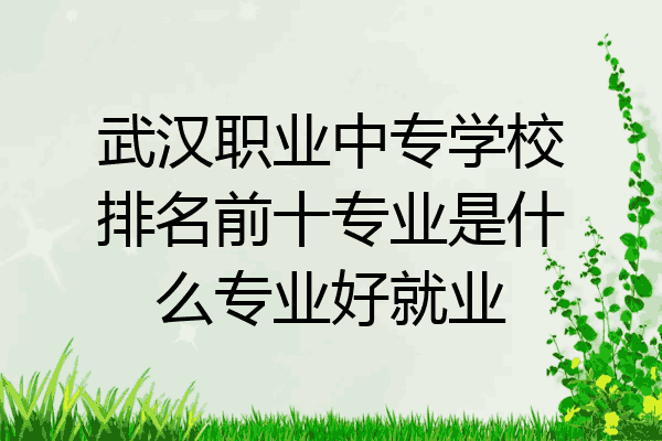 武汉职业中专学校排名前十专业是什么专业好就业