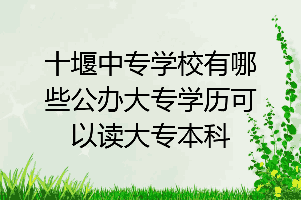 十堰中专学校有哪些公办大专学历可以读大专本科
