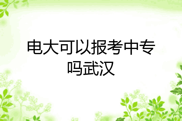 电大可以报考中专吗武汉