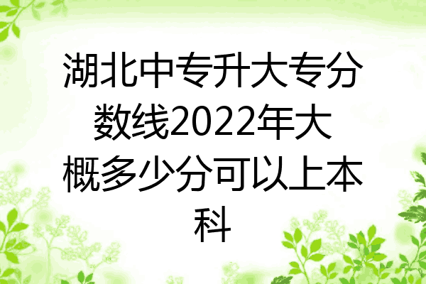 湖北中专升大专分数线2022年大概多少分可以上本科