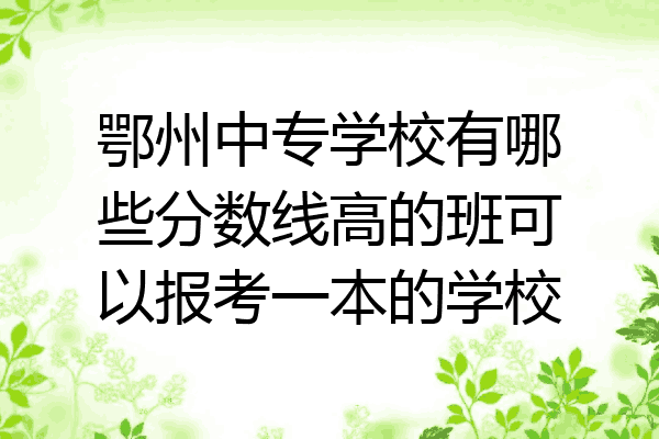 鄂州中专学校有哪些分数线高的班可以报考一本的学校
