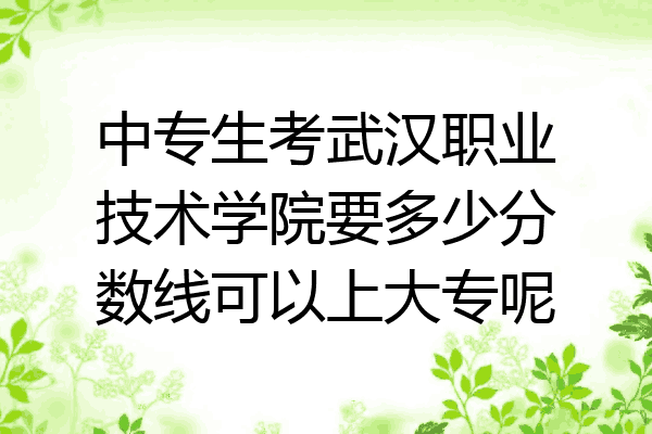 中专生考武汉职业技术学院要多少分数线可以上大专呢