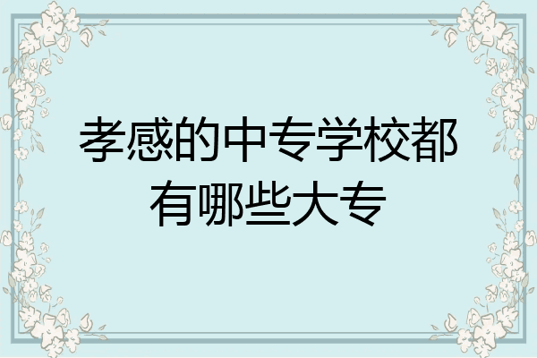 孝感的中专学校都有哪些大专