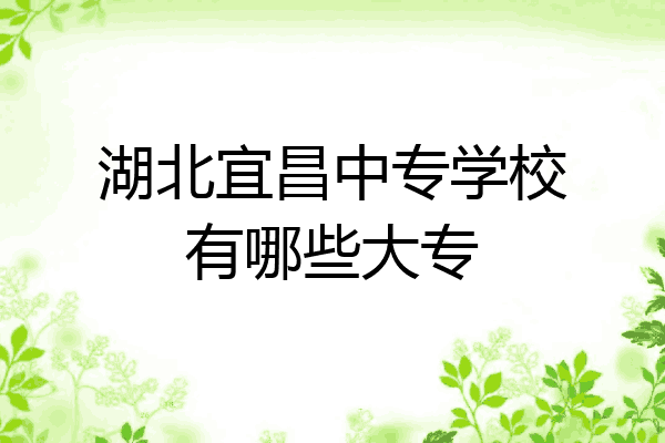 湖北宜昌中专学校有哪些大专