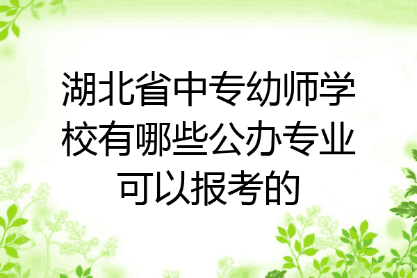 湖北省中专幼师学校有哪些公办专业可以报考的