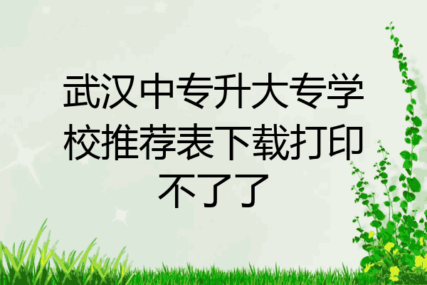 武汉中专升大专学校推荐表下载打印不了了