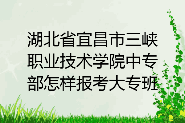 湖北省宜昌市三峡职业技术学院中专部怎样报考大专班