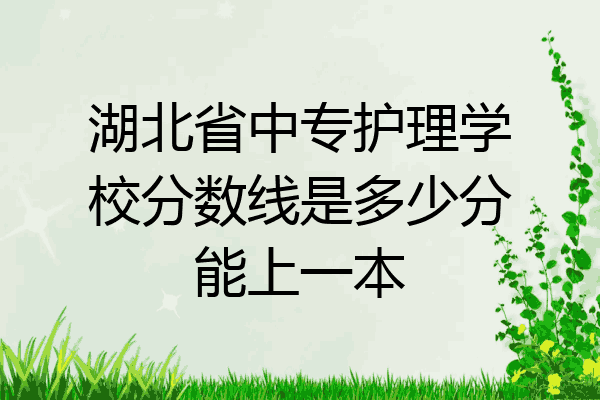 湖北省中专护理学校分数线是多少分能上一本