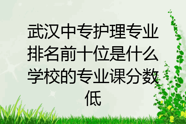武汉中专护理专业排名前十位是什么学校的专业课分数低