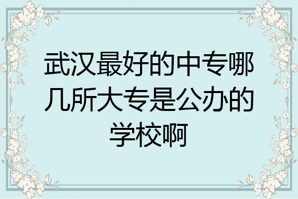 武汉最好的中专哪几所大专是公办的学校啊