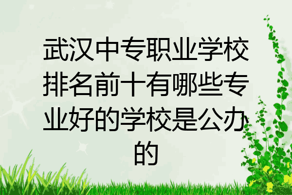 武汉中专职业学校排名前十有哪些专业好的学校是公办的