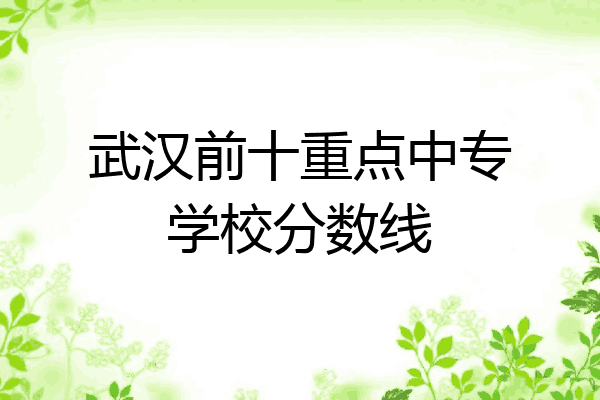 武汉前十重点中专学校分数线