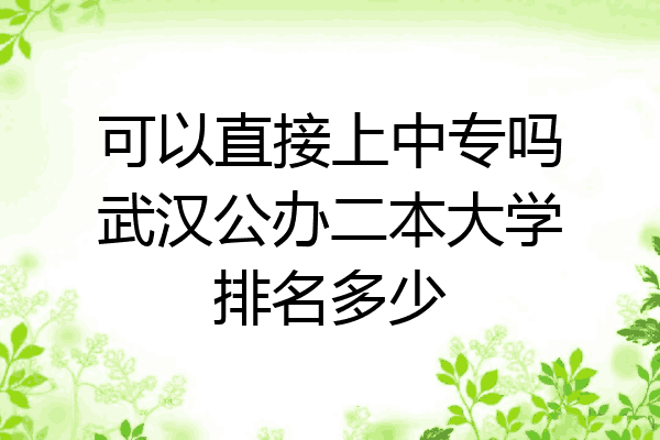 可以直接上中专吗武汉公办二本大学排名多少