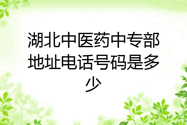 湖北中医药中专部地址电话号码是多少