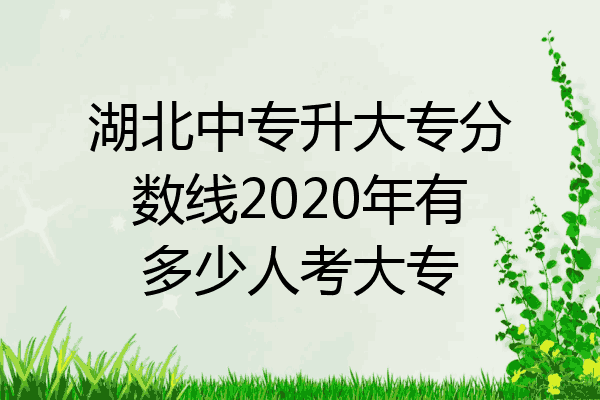 湖北中专升大专分数线2020年有多少人考大专