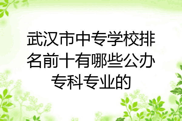 武汉市中专学校排名前十有哪些公办专科专业的