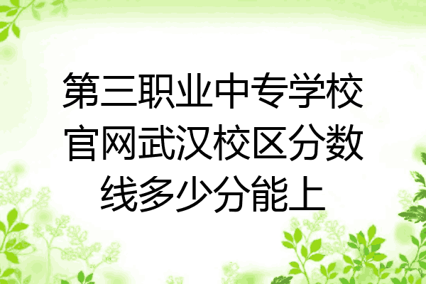 第三职业中专学校官网武汉校区分数线多少分能上