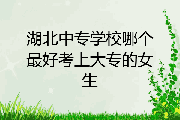 湖北中专学校哪个最好考上大专的女生