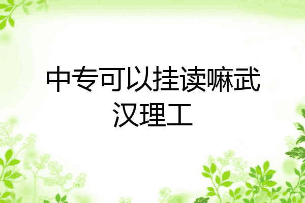 中专可以挂读嘛武汉理工