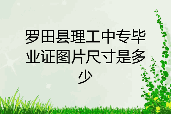 罗田县理工中专毕业证图片尺寸是多少