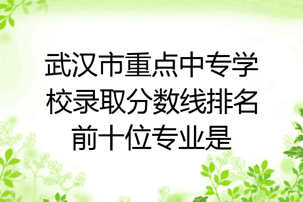 武汉市重点中专学校录取分数线排名前十位专业是
