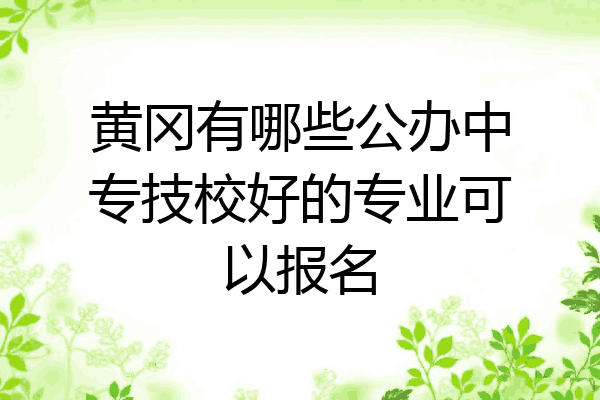 黄冈有哪些公办中专技校好的专业可以报名