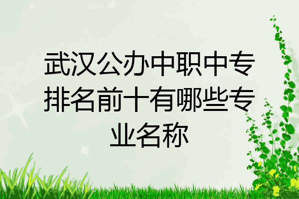 武汉公办中职中专排名前十有哪些专业名称